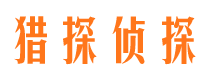 屏山市场调查